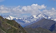 40 Zoom verso il Monte Disgrazia